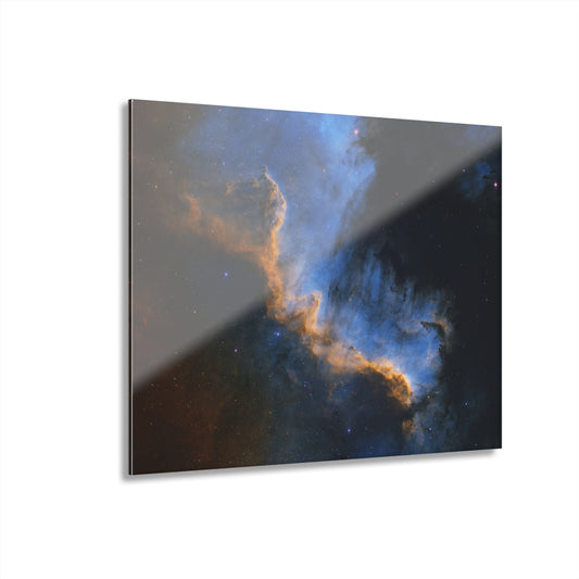 Cygnus Acrylic Print (French Cleat Hanging)